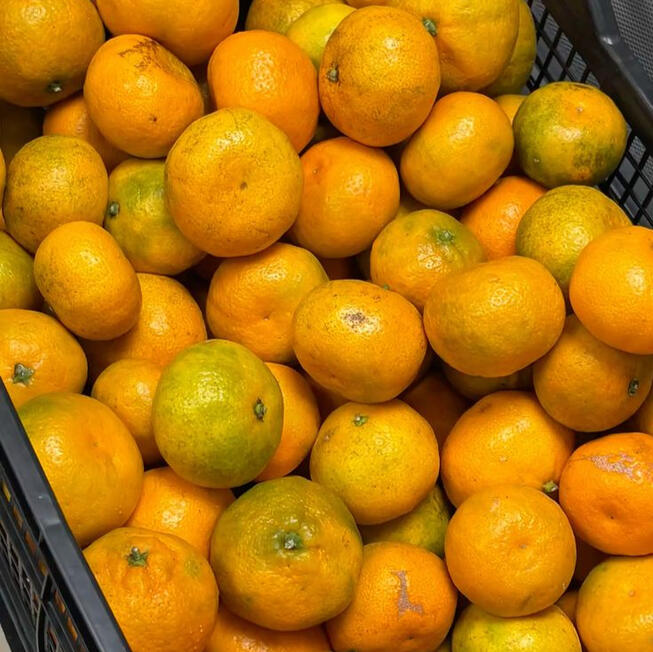 Jeruk segar berkualitas