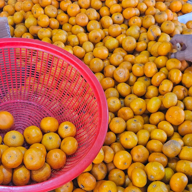 Pilihan terbaik untuk anda